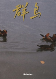 群鸟飞过的湖面动静结合写一段话